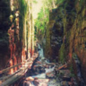 Meet your Posher, Greg